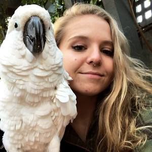 Meet your Posher, Tori